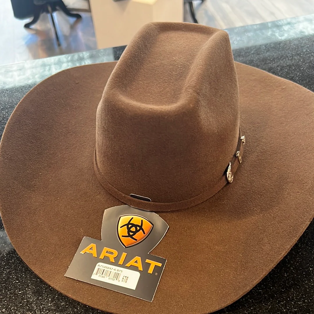 ARIAT Added Money - Chocolate - Image 2