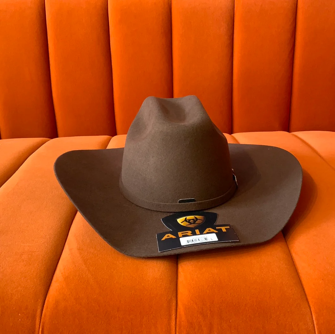 ARIAT Brown Felt - Image 2
