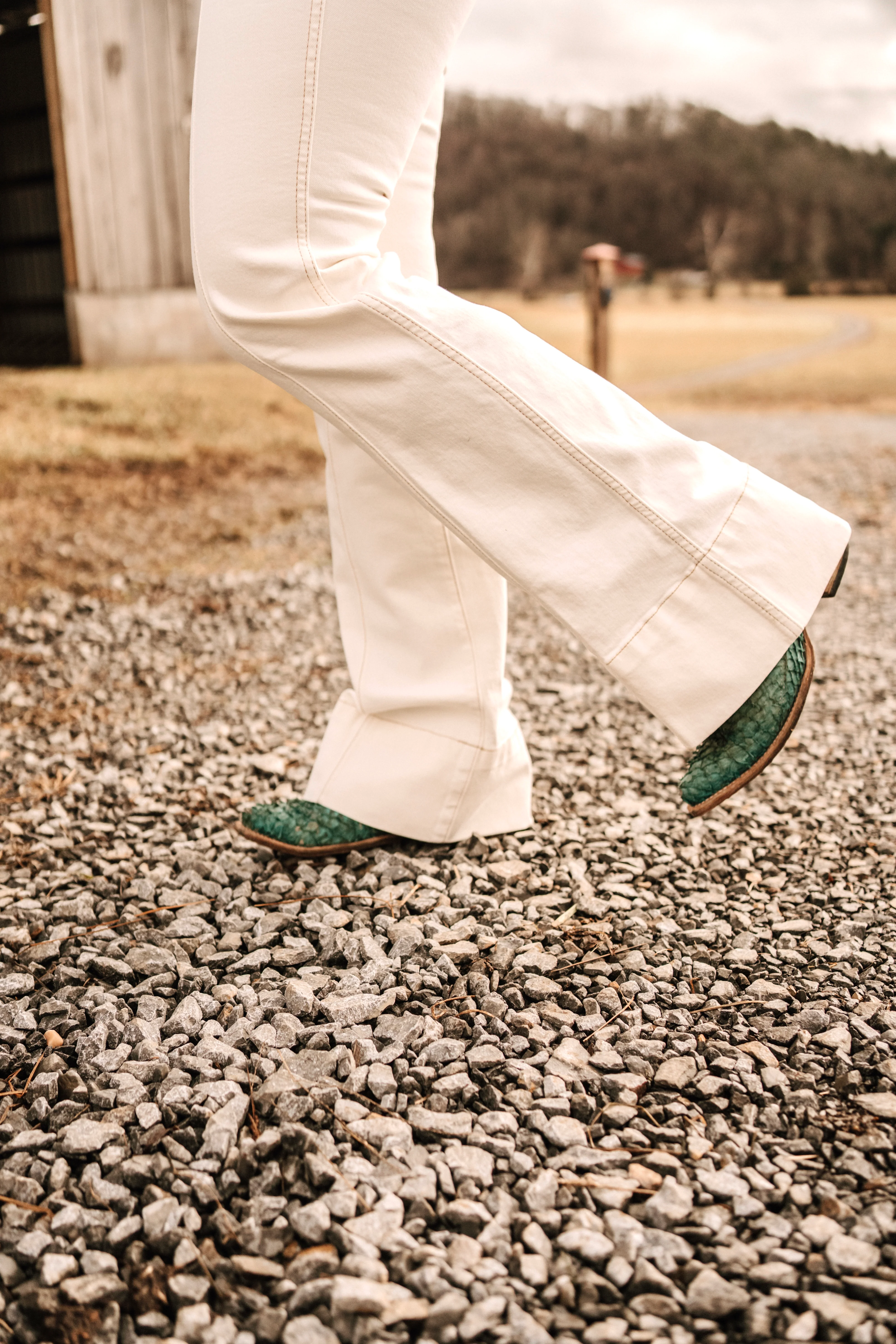 Ariat Larissa High Rise Slim Trouser - Image 4