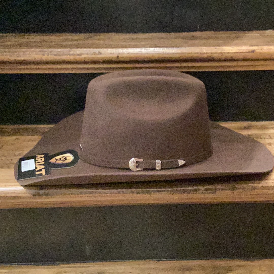 ARIAT YOUTH Brown Felt - Image 2