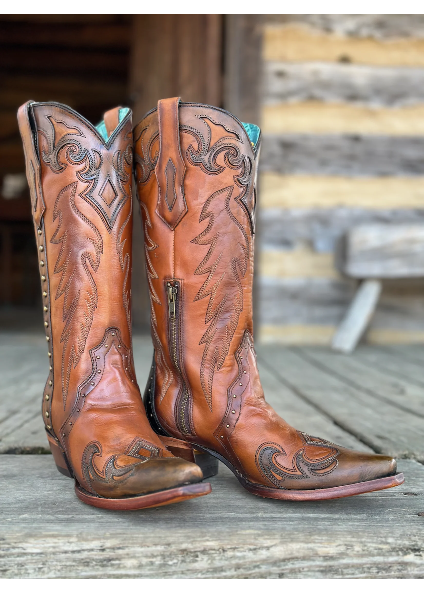 Corral Honey & Black Wing Tip - Image 2