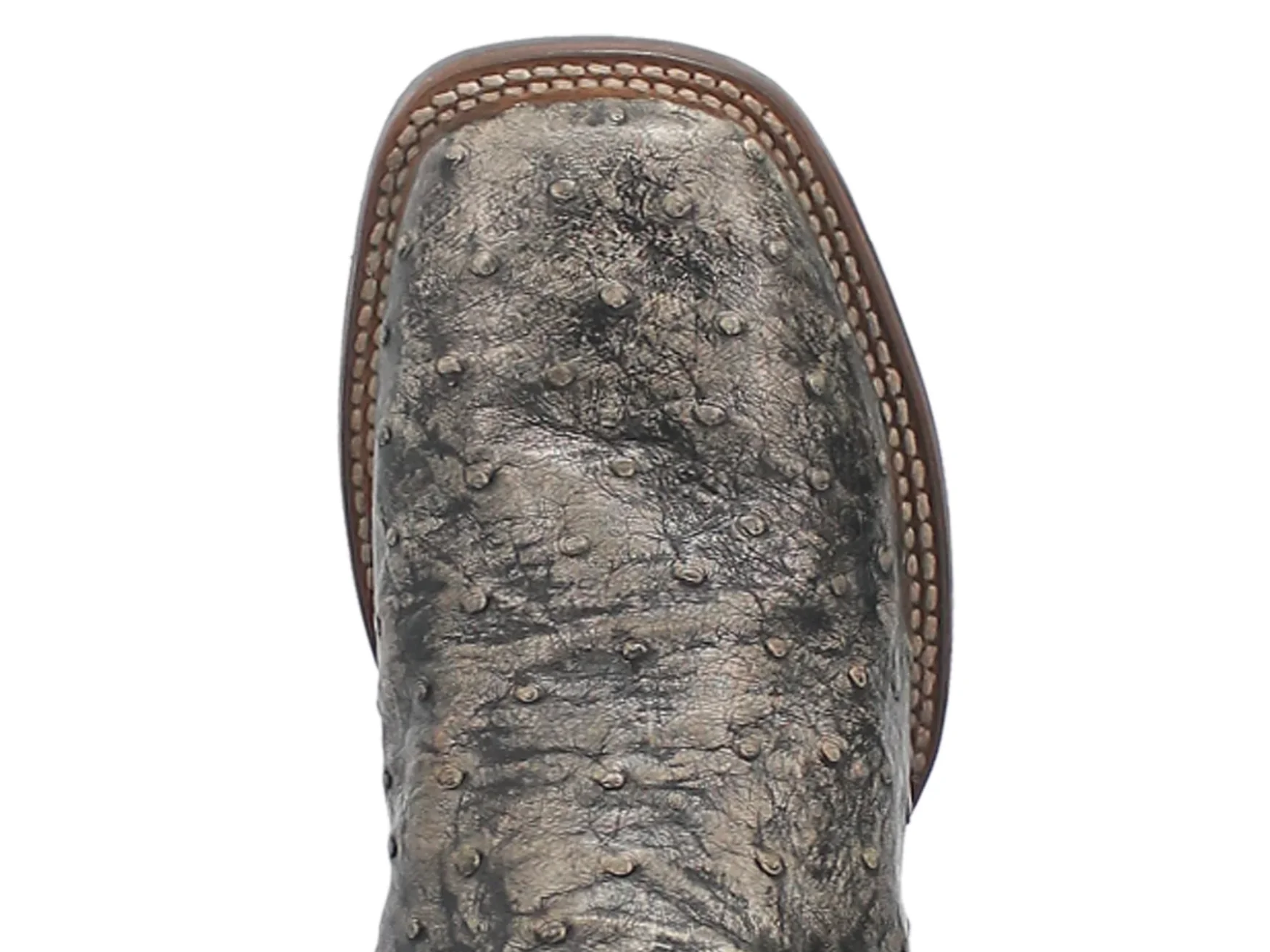 Dillinger Black Dan Post Ostrich Boots - Image 3