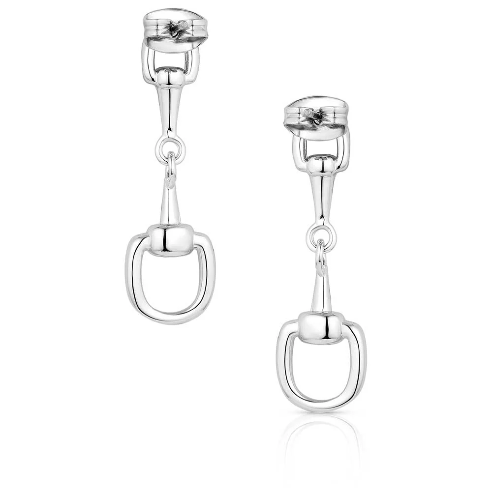 Enjoy the Ride Earrings - Image 3