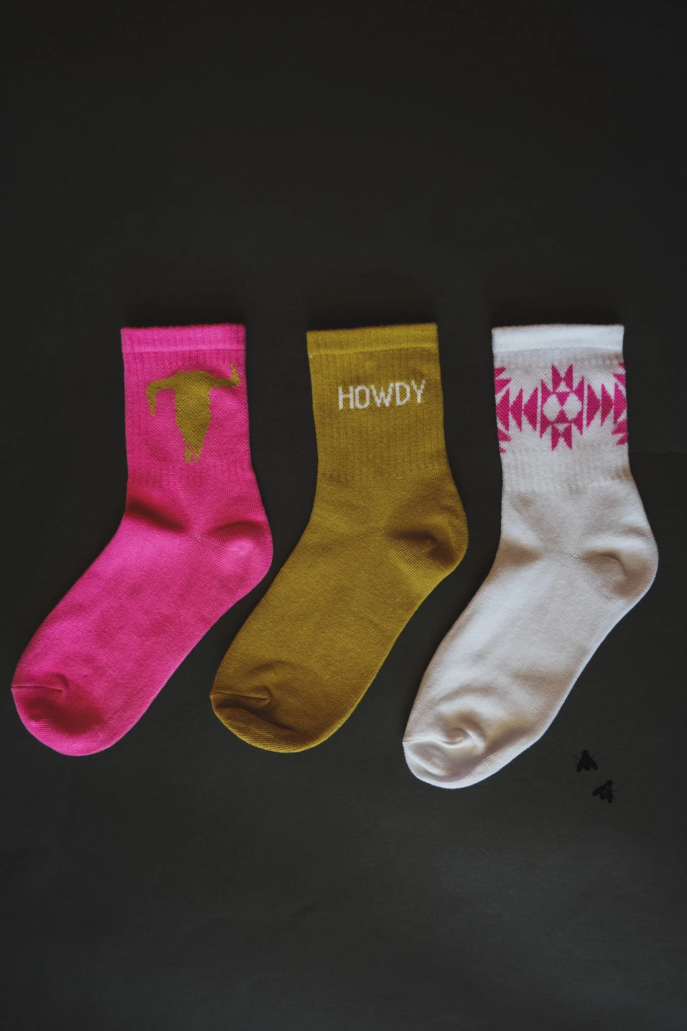 Sock Em Silly Skull Agave - Image 2