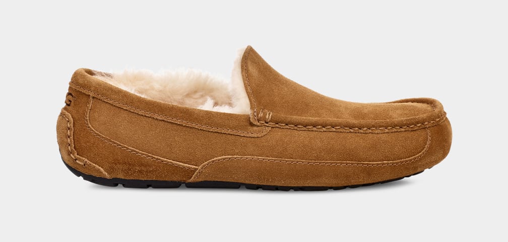 UGG™ Ascot Slipper Chestnut - Image 2