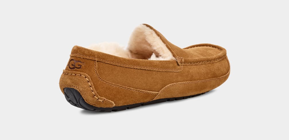 UGG™ Ascot Slipper Chestnut - Image 3