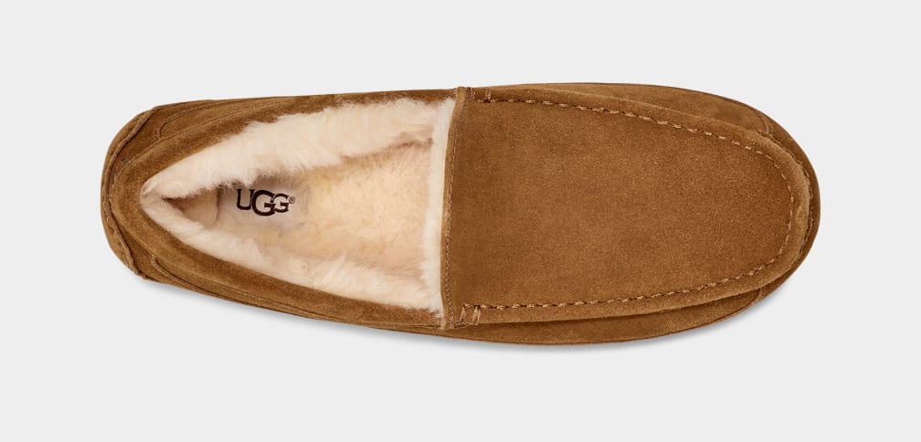 UGG™ Ascot Slipper Chestnut - Image 4