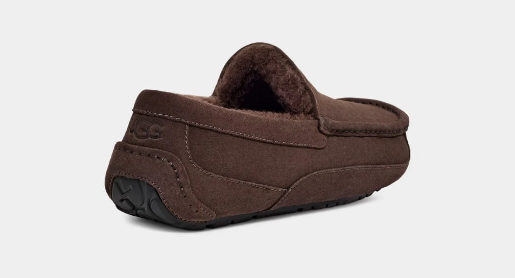UGG™ Ascot Slipper Dusted Cocoa - Image 3