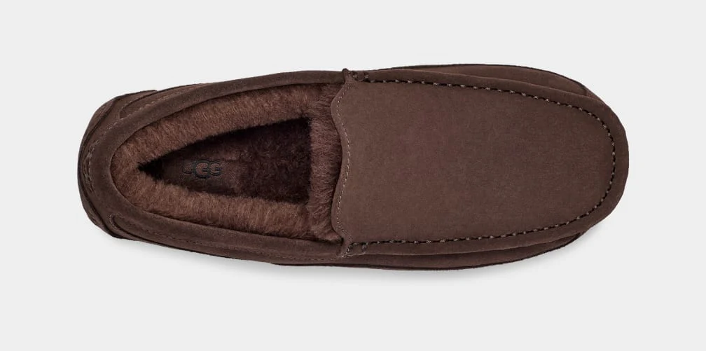 UGG™ Ascot Slipper Dusted Cocoa - Image 4