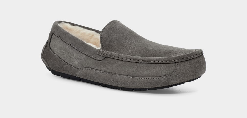 UGG™ Ascot Slipper Grey