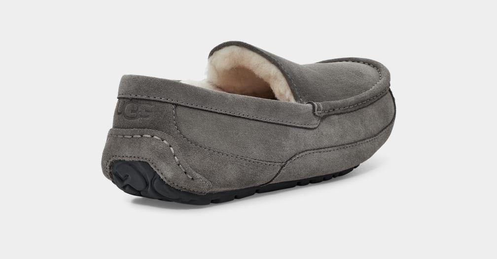 UGG™ Ascot Slipper Grey - Image 3