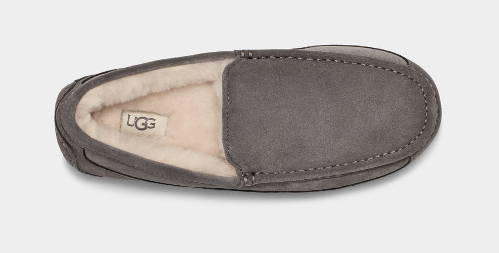 UGG™ Ascot Slipper Grey - Image 4