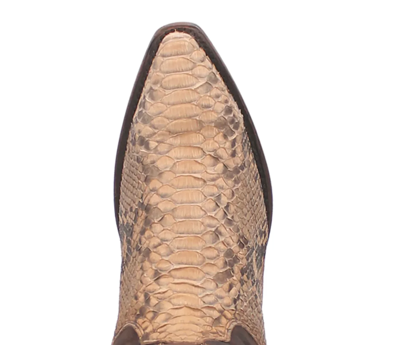 Dan Post Men’s Sturgis Python - Image 3